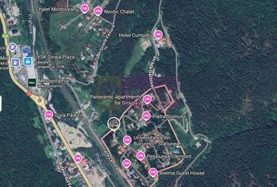 Teren extravilan in Sinaia (25 euro/mp) - 1