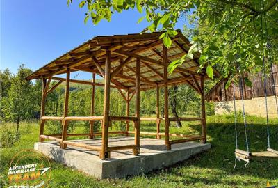 Casă cu 2 camere cu Teren 2989 Mp în Zagon - 4