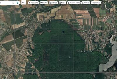 `Teren cu dubla deschidere, langa padure, Snagov - Strada Pa - 6