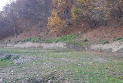 Teren de 9310 mp, în Poiana Mărului - 6