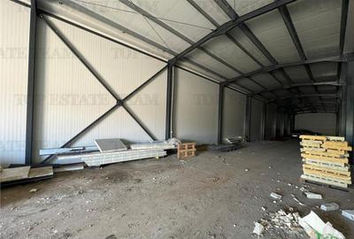 Spațiu comercial, de 435 mp, în Ulmi - 12