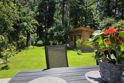 Vila individuala cu teren extins si intimitate – Mogosoaia - 3