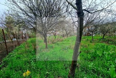 Teren Construcții intravilan de 1058 mp, în Mogoșoaia - 3