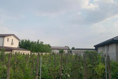 Stefanesti de Jos  Vanzare  Teren Intravilan 3000mp - 12