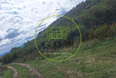 Teren extravilan 700mp in Gusterita. - 2