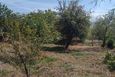 Casă cu 3 camere în Jidoștița - 4