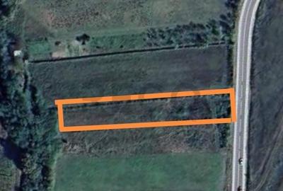 RECO Teren intravilan Beius - 1