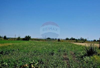 Casă individuală cu 6 camere cu Garaj în Zănești - 4