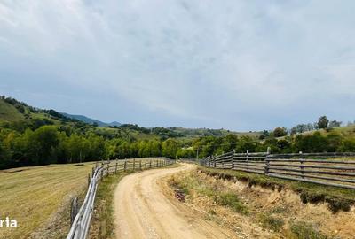 Spațiu comercial, în Central - 10