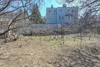 Spațiu comercial, în Muncii - 1