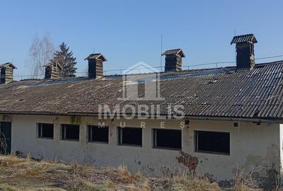 Teren intravilan I 13134 mp I cu potențial de business | zona Budiu - 8