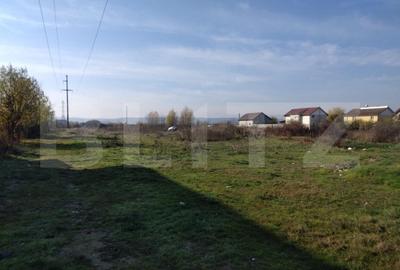 Teren Construcții intravilan de 5950 mp, în Lascăr Catargiu - 2