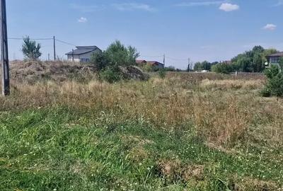 Teren intravilan de 1000 mp, în Brănești - 3