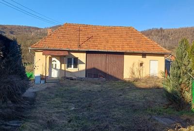 Casă cu 3 camere în Valea Iadului - 4