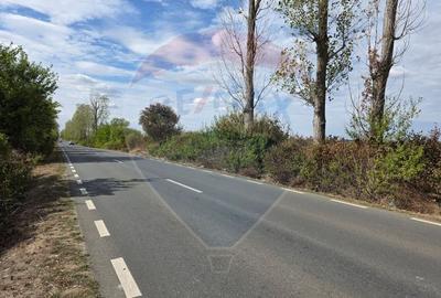 Teren Construcții intravilan de 5000 mp, în Ciolpani - 2