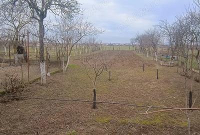 Casă cu 3 camere în Săbolciu - 3