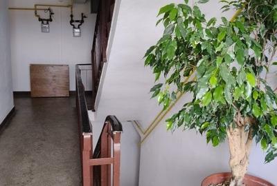 Apartament 3 camere situat in centrul orasului Targu Jiu, pe pietonala - 17