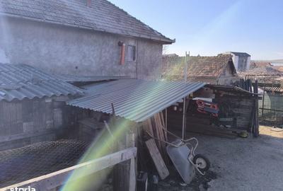 Casă cu 2 camere în Sânnicoară - 11