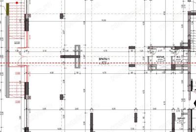 Spatiu comercial nou 235 mp de vanzare in Baile Felix - 3