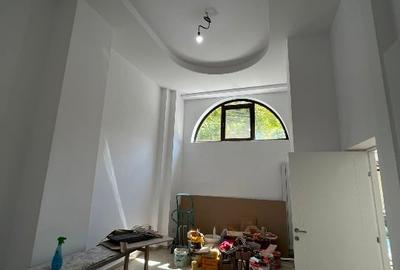 SPATIU COMERCIAL LANAG CASA POPORULUI, DIRECT PROPRIETAR - 7