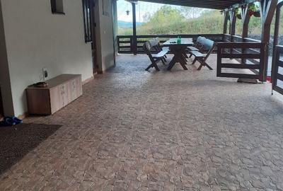 Casă cu 6 camere decomandat cu Teren 19200 Mp în Creaca - 8