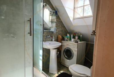 De Vanzare Casa si Cabana 74 ari Viille Satu Mare - 9