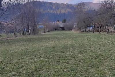Casa si teren de vanzare, direct proprietar, intrare Bucsoaia, Suceava - 8