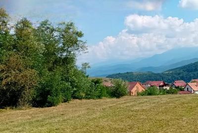 Teren de 500 mp, în Șelimbăr - 8
