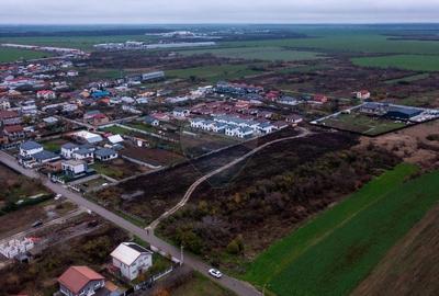 Vanzare teren intravilan 10.000mp Afumati - Strada Teiului - 9