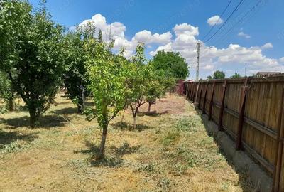 Movilita - vanzare casa 5 cam plus livada pe rod si teren 1800 mp - 9