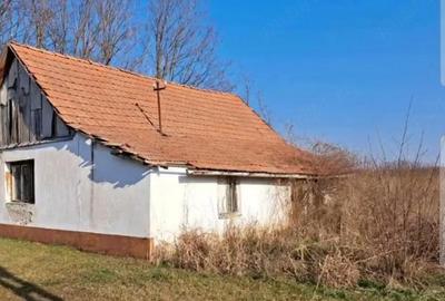 Casă cu Teren 1988 Mp în Central - 1