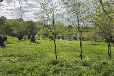 De vanzare teren superb in Ciurila - 500 mp de liniste, verdeata si potential De vanzare teren superb in Ciurila - 500 mp de liniste, verdeata si potential - 1