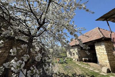Casă cu Teren 470 Mp în Podeni - 10