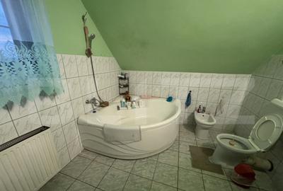 Casa de vanzare in Cionchesti , comuna Viile Satu Mare - 8