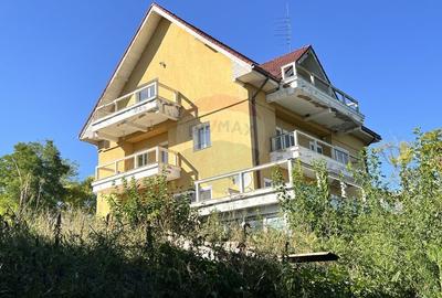 Casa cu potential imens in Sat Lilieci, pe Aleea Florilor - langa raul - 39