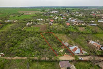 LETCA NOUA, TEREN CONSTRUCTII 1184 MP, FRONT 21 M ! LETCA NOUA, TEREN CONSTRUCTII 1184 MP, FRONT 21 M ! - 1