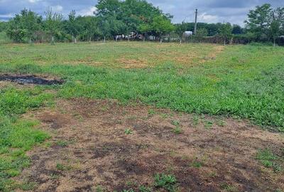 Casă cu 3 camere cu Teren 2877 Mp în Bethausen - 8