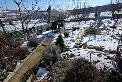 Teren de 6700 mp, în Broscăuți - 6