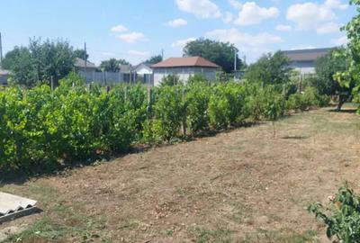 Casă cu 4 camere cu Teren 945 Mp în Cobadin - 9