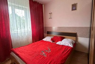 Apartament cu 2 camere semidecomandat în Trivale - 2