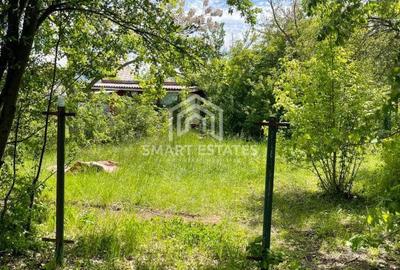 Spațiu comercial, în Șanțu-Florești - 3