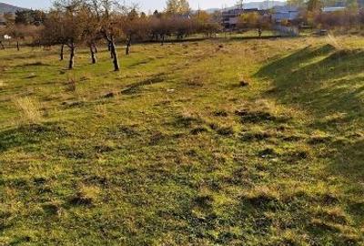 Teren Construcții intravilan de 2490 mp, în Voila - 3