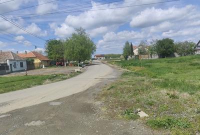 Spațiu comercial, în Central - 2