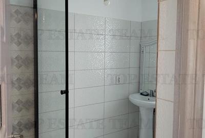 Vila individuala cu 5 camere,  2 terase, 4 locuri de parcare,350mp teren imprejm Vila individuala cu 5 camere,  2 terase, 4 locuri de parcare,350mp teren imprejm - 14