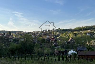 Teren la poalele Cetății Cisnadioarei de vânzare/1250 mp - 3