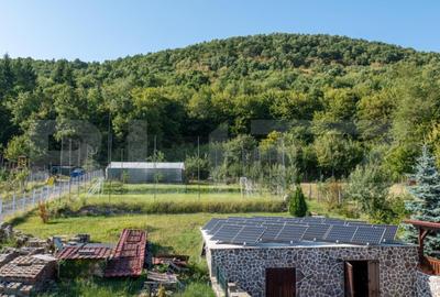 Casa superba de vacanta cu lac de pesti, in comuna Livezile - 9