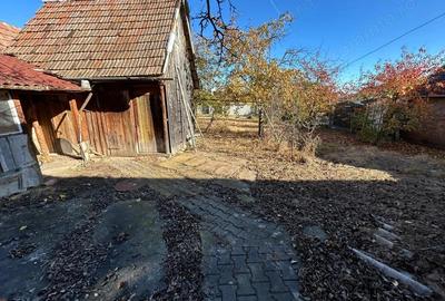 Casa individuala, 719mp teren, 72mp utili - Zona Cetate - 10