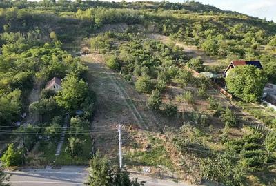 Teren intravilan Loc de casa 3.300 mp. - cartierul podgoria - IMOBIHOR Teren intravilan Loc de casa 3.300 mp. - cartierul podgoria - IMOBIHOR - 6