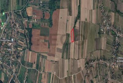 Teren mare extravilan in Uileacu de Munte - 5
