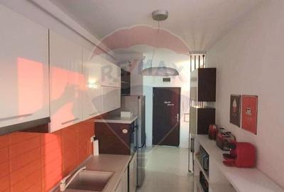 Apartament URBANA Polivalenta 2 camere si loc de parcare - 14